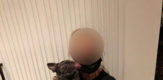 Police Officer’s Stolen French Bulldog Recovered
