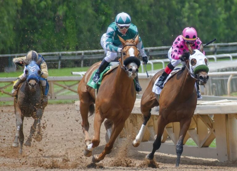 Best Horse Racing Strategies: 4 Signs That Your Horse Is A Champ