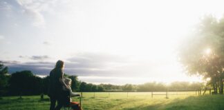 AAPI Elder Abuse Steering Committee Formed