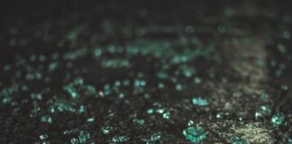 Suspects In North Beach Auto Burglary Crew Arrested