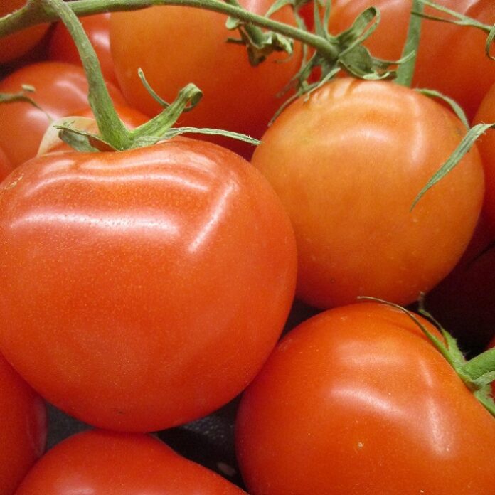 Warm Season Vegetables For Spring warm season vegetables