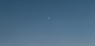 Woman Attacked In North Beach Area