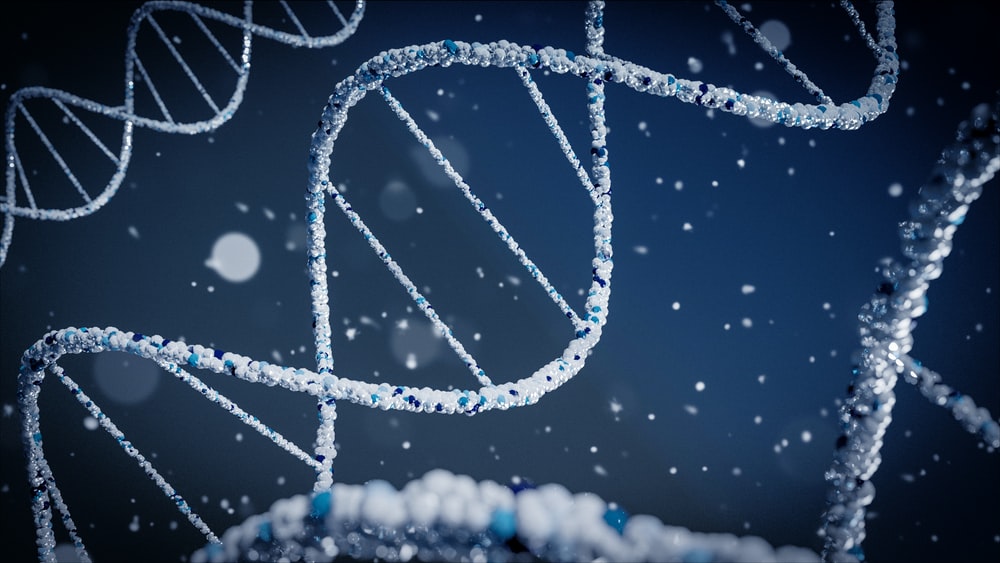 dna