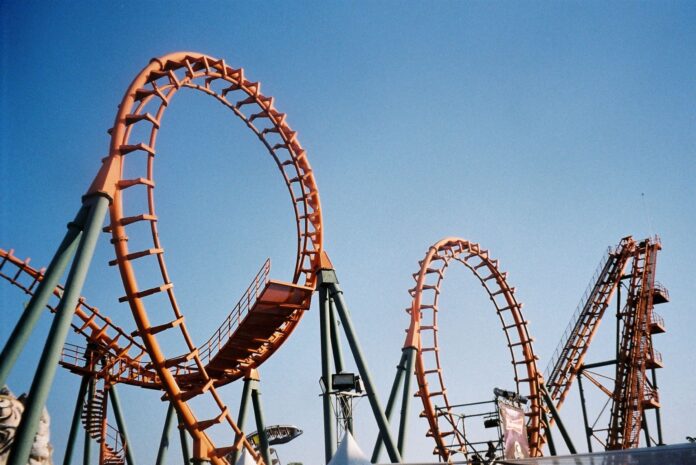Amusement Park Enthusiast
