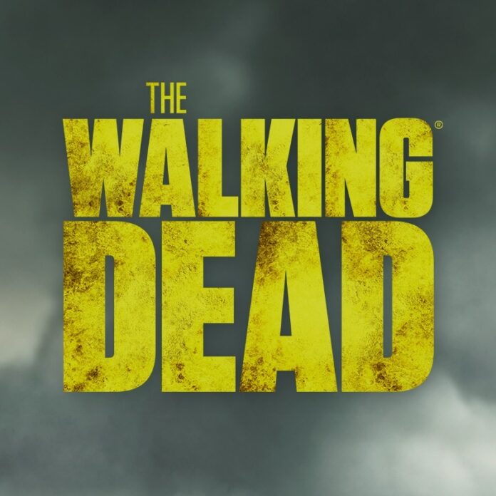 “The Walking Dead” Series Finale Recap!