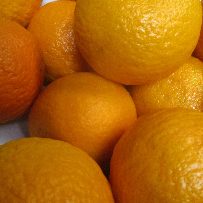 Citrus Fruit Brightens Wintry Gardens citrus fruit