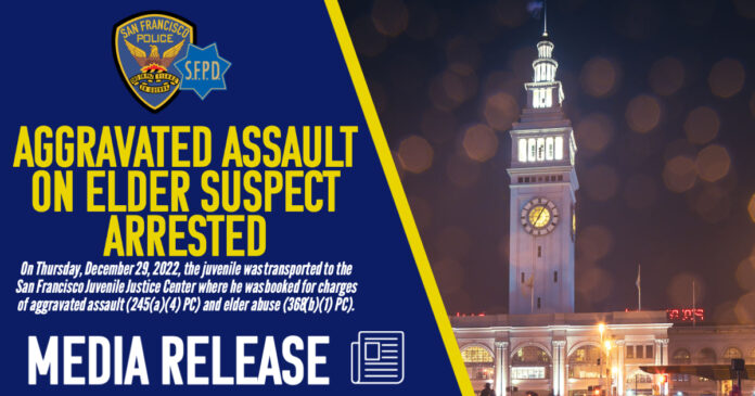 Juvenile Arrested For Aggravated Assault On Elderly Woman