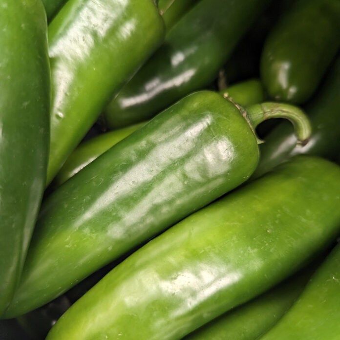 Crop Rotation Promotes Garden Efficiency crop rotation