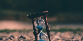 Maximize Your Free Time