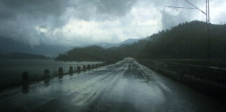 Level 3 Storm Kills At Least Five People In The Bay Area Region