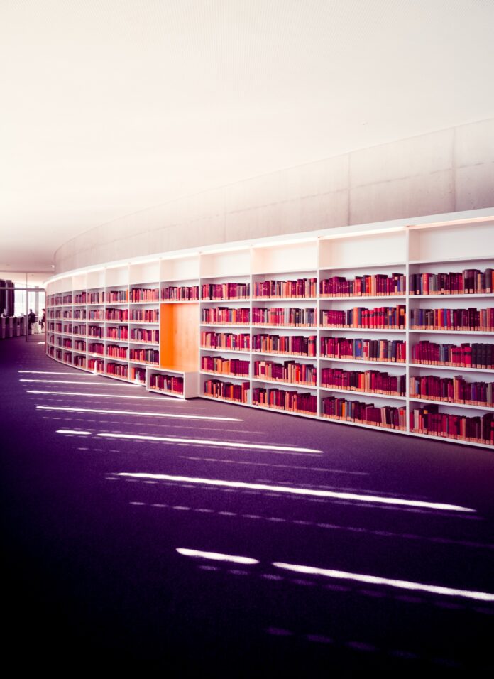 Higher Education Woes: Graduate School