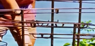“Survivor 44” Recap: ‘Absolute Banger Season’
