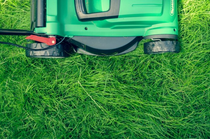 A Fresh Cut Lawn Does Wonders