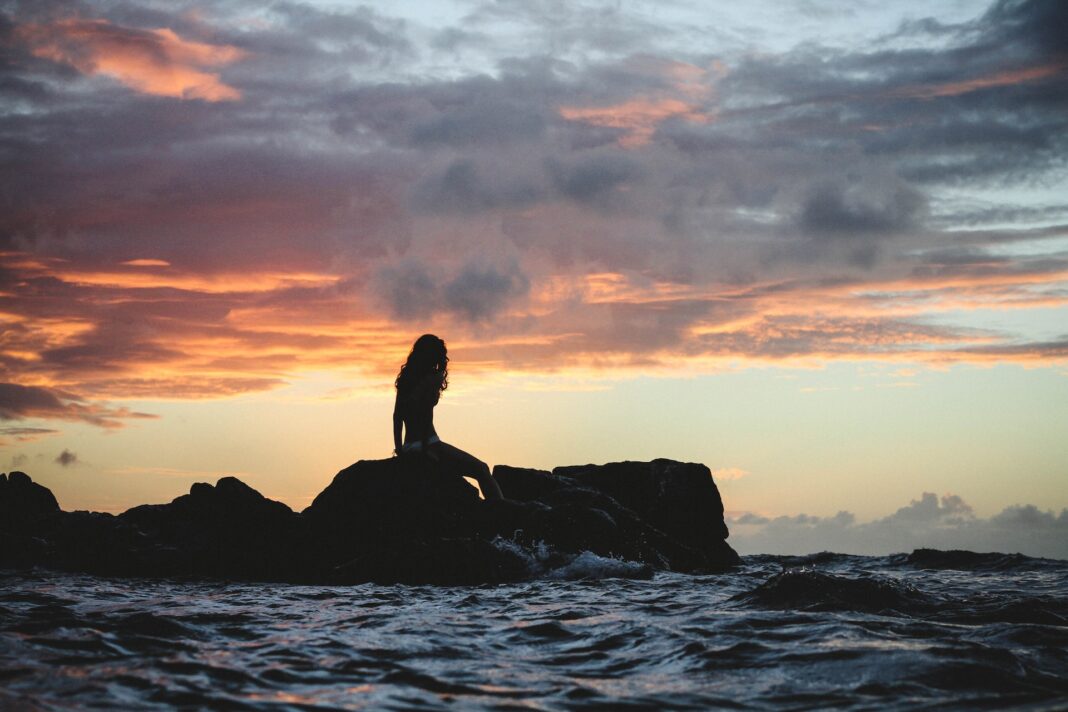 The little mermaid