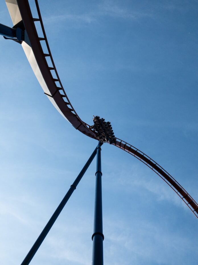 Rollercoaster Thrill-Seeker
