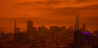 SFSU Sued For Racial Harassment