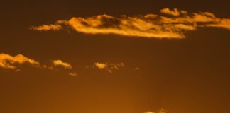 Inmates Sue Sheriff’s Department For Violating 8th Amendment