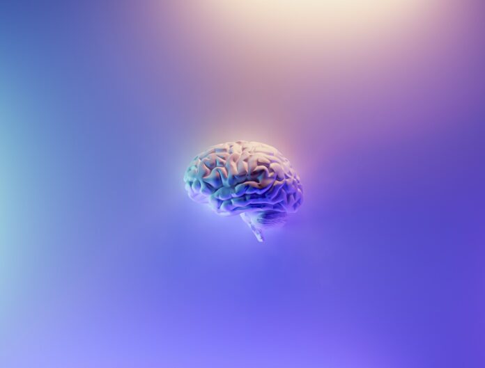 Can The Brain Have A Turn Off Switch?