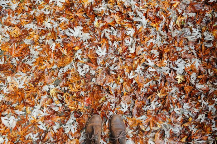 Are You Frustrated With Raking Leaves?