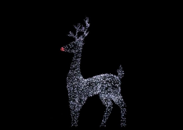 The Winner Of “Big Brother Reindeer Games” Is…