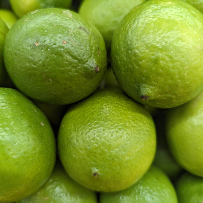 Citrus Fruit Ripens Through Winter citrus