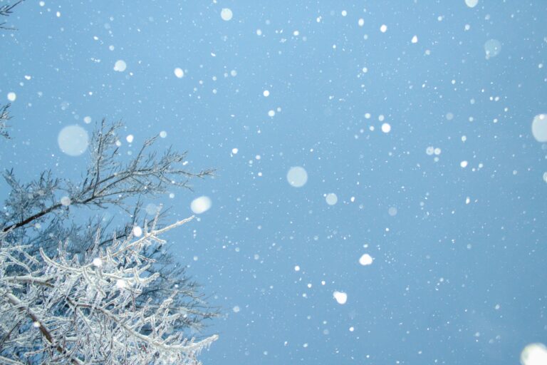 Winter Blues