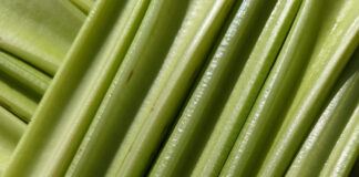 Vegetables Change With The Seasons vegetables