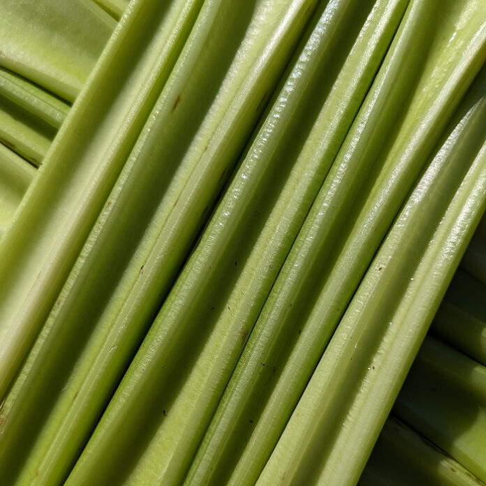 Vegetables Change With The Seasons vegetables