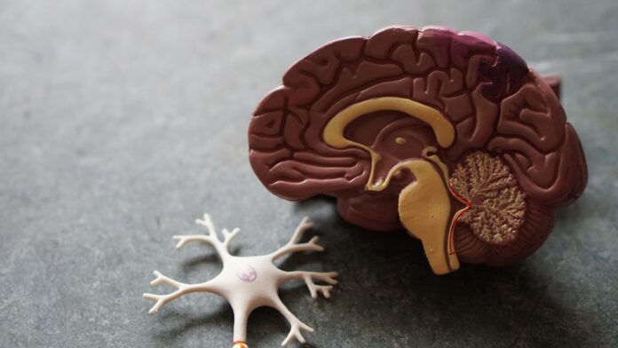 Dementia And Alzheimer’s Disease Can Devastate A Family