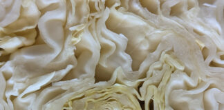 Weeds Are Prolific And Invasive weeds