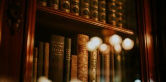 Steps To Safety: How A Connecticut Pedestrian Accidents Lawyer Protects Your Rights