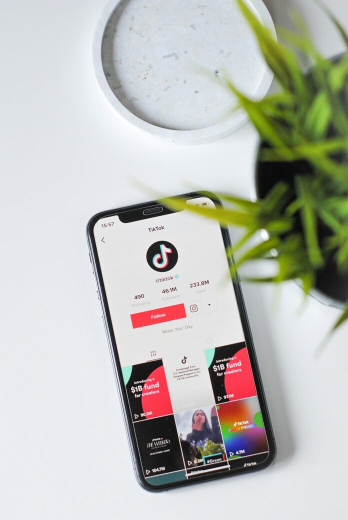 Banning TikTok, Is It Really That Important?