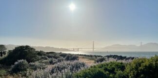 Panorama Park Opens On Yerba Buena Island