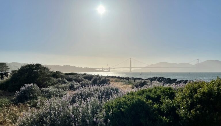 Panorama Park Opens On Yerba Buena Island