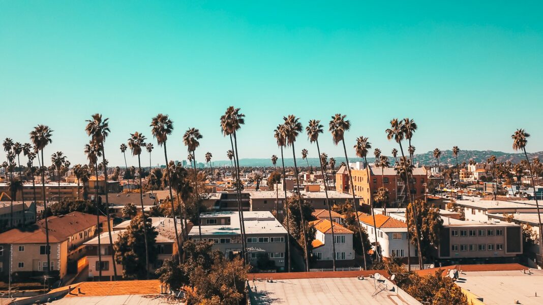 drew-dau-dXxsLrlg9qY-unsplash