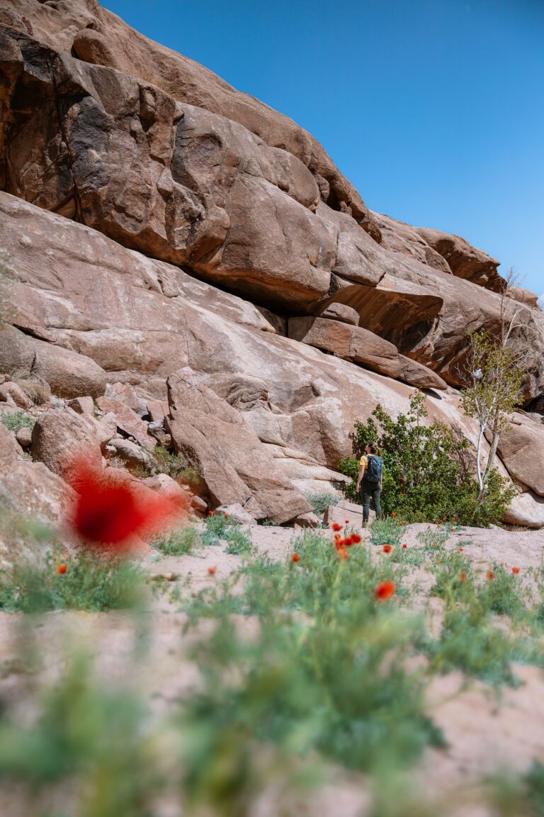 Missing Hiker Kelley Guest Found Deceased