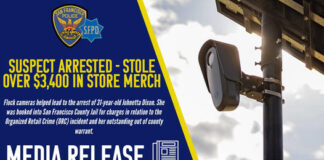 Johnetta Dixon Arrested For Stealing $3,400 In Store Merchandise