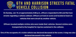 SFPD Investigating Fatal Vehicle Collision