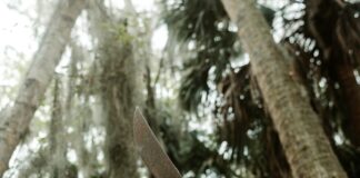 Billy Hudson Convicted Of Assault With Machete