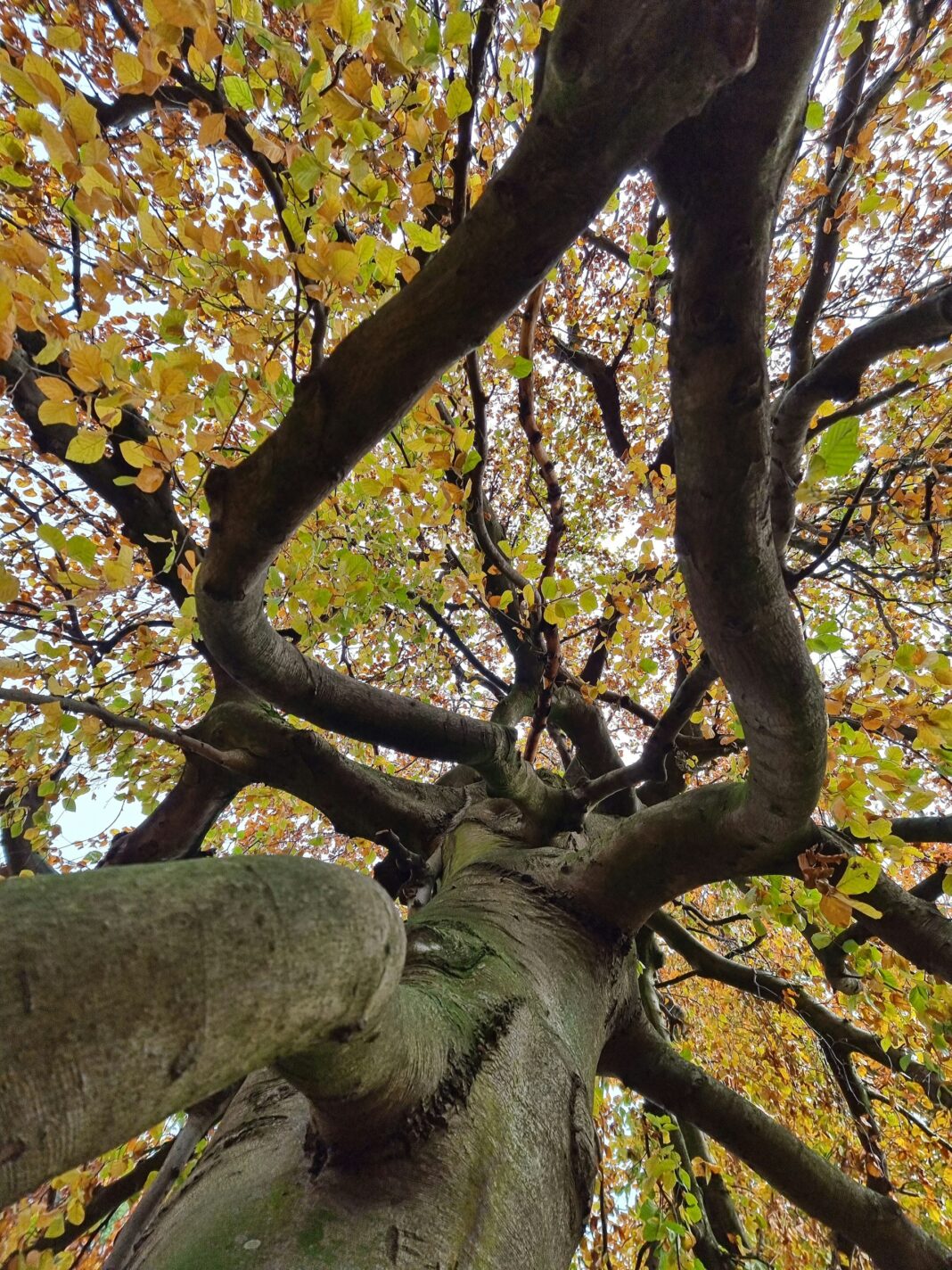 christine-herbst-k4bWag-RRoU-unsplash