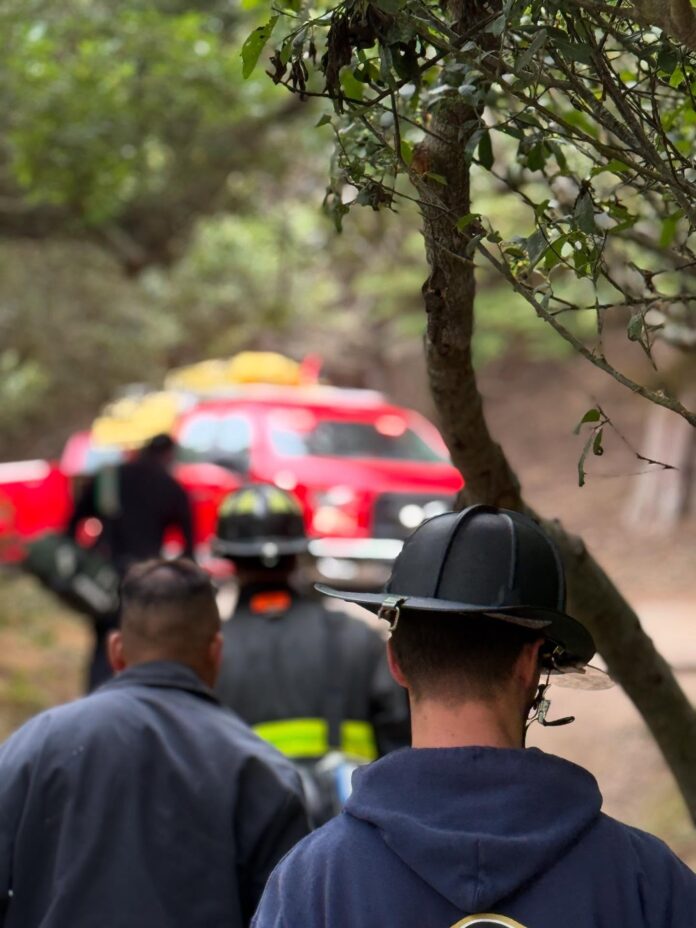 SFFD Assist In Rescuing Individual Near Cliff Of Legion Of Honor