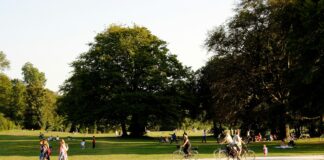 Gorgeous Day At The Park