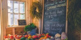 If You Want People To Eat Healthier MAKE IT MORE AFFORDABLE!