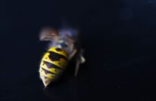 julia-fiander-SEIwe835ytA-unsplash