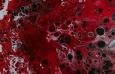pawel-czerwinski-wZHDa7cD7Ps-unsplash