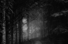simon-berger-rydQVdwcgUQ-unsplash