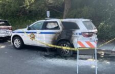 tempFileForShare_20250925-113355