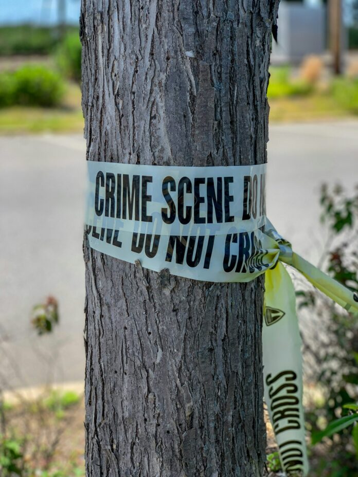 What Is The Fascination With True Crime?