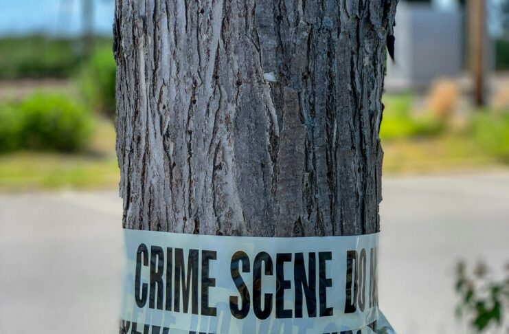 What Is The Fascination With True Crime?