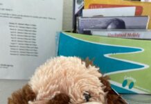 SFFD Seaside Cliff Dog Rescue At Fort Funston